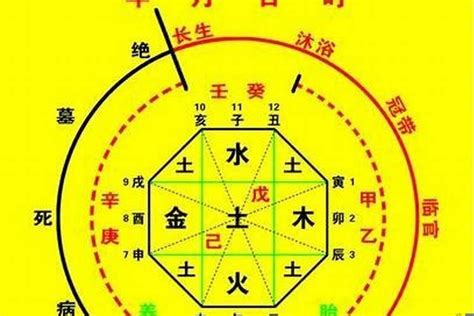 八字看喜用神|八字入门基础 第六篇 如何判断八字喜用神